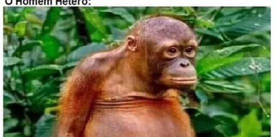 Imagem do grupo de WhatsApp 𝖘𝖍𝖎𝖙𝖕𝖔𝖘𝖙𝖊𝖗