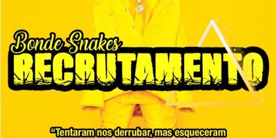 Imagem do grupo de WhatsApp 👑 Recrutamento Snakes 👑