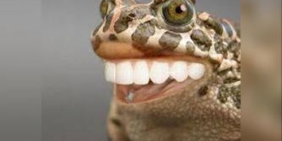 Imagem do grupo de WhatsApp Friends tik tokers