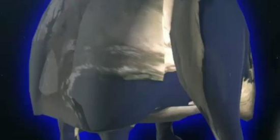 Imagem do grupo de WhatsApp Macaco SadMonkey Clã 👽♦️