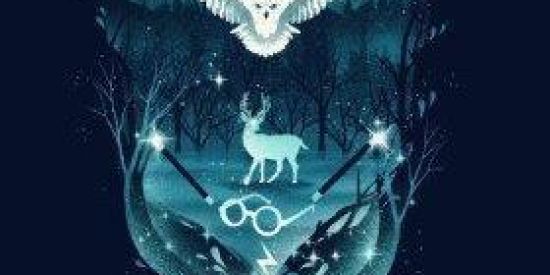 Imagem do grupo de WhatsApp ◈Potter House◈