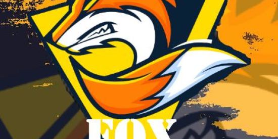 Imagem do grupo de WhatsApp 🔰Fox testes🔰