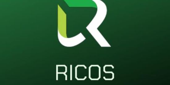 Imagem do grupo de WhatsApp Ricos Sinais✅