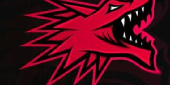 Imagem do grupo de WhatsApp X1,Xtreino e recrutamento