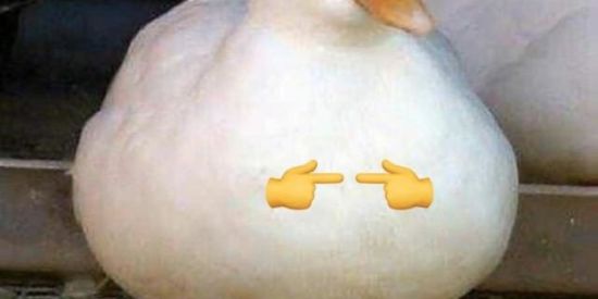 Imagem do grupo de WhatsApp 🐄🔥shit da vaca loca🐄🔥