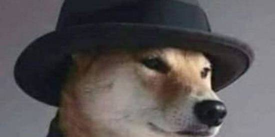 Imagem do grupo de WhatsApp ♕รн¡тpσรт Ъя♕  😎🤙