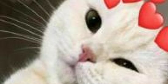 Imagem do grupo de WhatsApp Oi