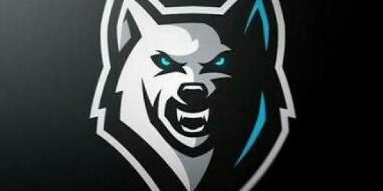 Imagem do grupo de WhatsApp HUNTERS E-SPORTS