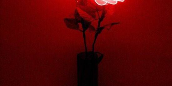 Imagem do grupo de WhatsApp 🎆st🎆 📍it📍