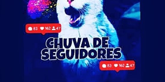 Imagem do grupo de WhatsApp 🃏ɢᴀɴʜᴀʀ sᴇɢᴜɪᴅᴏʀᴇs🃏⚜️🔞♏⚛️