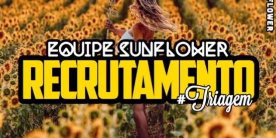 Imagem do grupo de WhatsApp 3⃣TRIAGEM SUNFLOWER EQP 1🌻