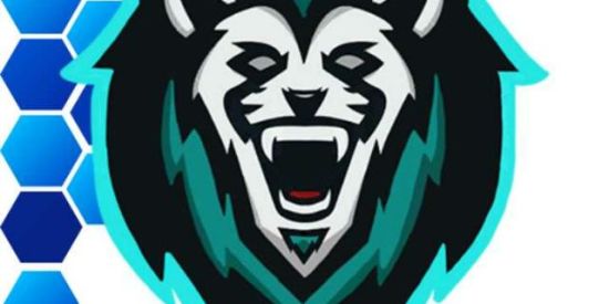 Imagem do grupo de WhatsApp 🔰X-TREINO DA SUB🔰