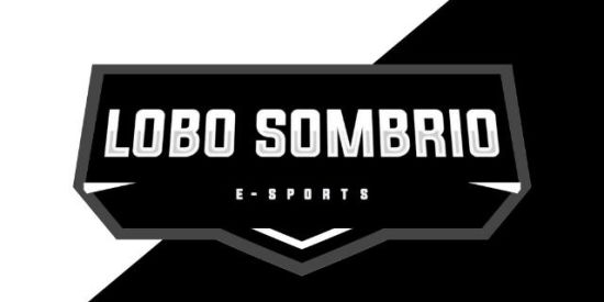 Imagem do grupo de WhatsApp LBS Recrutamento para guilda🔥💯