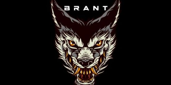 Imagem do grupo de WhatsApp Brant Store