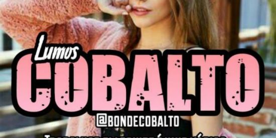 Imagem do grupo de WhatsApp 🦊Recrutamento cobalto🦊