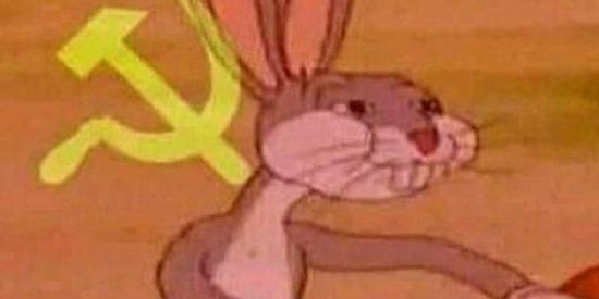 Imagem do grupo de WhatsApp P.C.A.V.