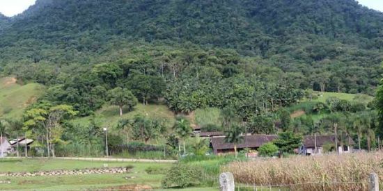 Imagem do grupo de WhatsApp 💕vale do Itajaí e regiao💕