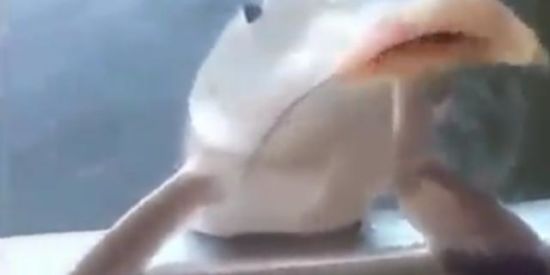 Imagem do grupo de WhatsApp 🖌️Minha arte é zuar 👽👺