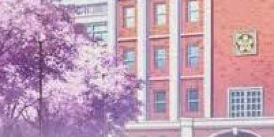 Imagem do grupo de WhatsApp N iniciado vagas aberta