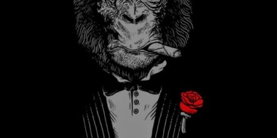 Imagem do grupo de WhatsApp 🍂⏳ Δ 1999 Δ 🌹🌕