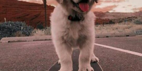 Imagem do grupo de WhatsApp ::Cda flopadoox::⚡