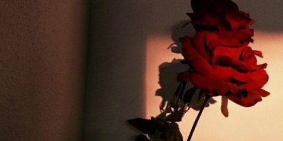 Imagem do grupo de WhatsApp RPG🌹🌈✨