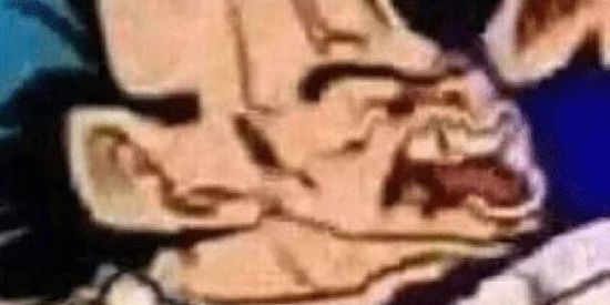 Imagem do grupo de WhatsApp >>Mundo animalesco<<