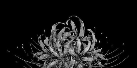 Imagem do grupo de WhatsApp 💮✨SASAGEYO✨💮