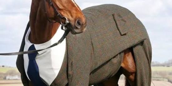 Imagem do grupo de WhatsApp Shitpost