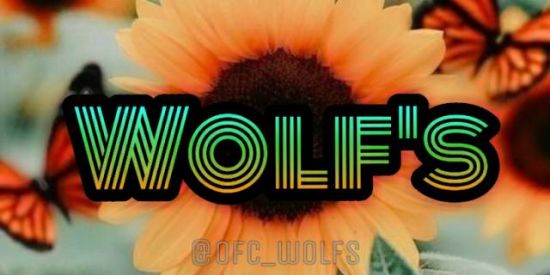 Imagem do grupo de WhatsApp 1 ✨Wσlf'ร✨