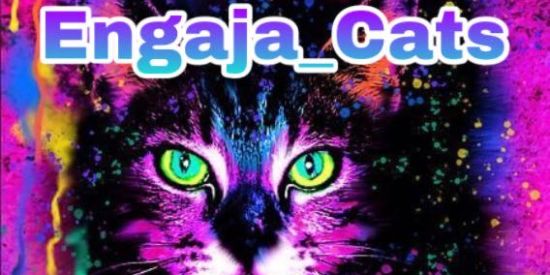 Imagem do grupo de WhatsApp Engaja_Cats