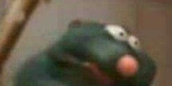 Imagem do grupo de WhatsApp รɧıt℘σรt_εɖıtร 🎃