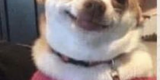 Imagem do grupo de WhatsApp Amigos