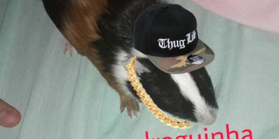 Imagem do grupo de WhatsApp bAnDIdAs ✌🏻😗✌🏻