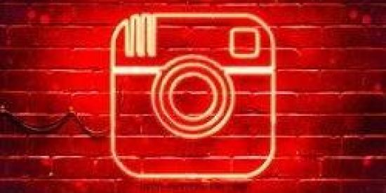 Imagem do grupo de WhatsApp 🦅⃤ 100 MIL SEGUIDORES