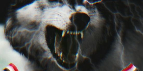 Imagem do grupo de WhatsApp 🇪🇬ŞĦΔĐØŴ_GØĐŞ-[2̲̲̅̅]X🇪🇬