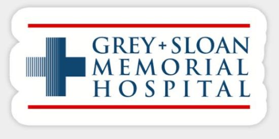 Imagem do grupo de WhatsApp A ANATOMIA DE GREY 🏥👩🏼‍⚕️