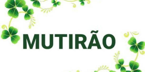 Imagem do grupo de WhatsApp ☘️ESPECIAL♛ɓтѵ♛☘️