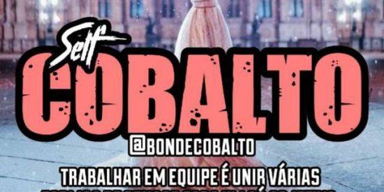 Imagem do grupo de WhatsApp 🦊Recrutamento cobalto🦊
