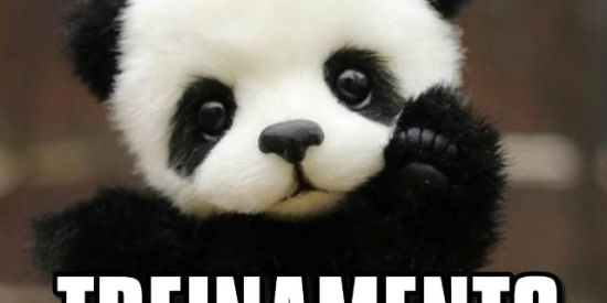 Imagem do grupo de WhatsApp Tʀᴇɪɴᴀᴍᴇɴᴛᴏ ᴅᴇ ᴀᴅᴍ🐻✨