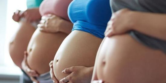 Imagem do grupo de WhatsApp 🍃💐VIDA DE GESTANTES E MÃES 💐🍃