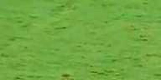 Imagem do grupo de WhatsApp Aumentar o enjagamento no Instagram👍💬