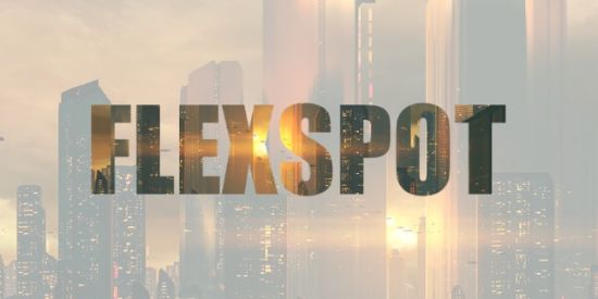 Imagem do grupo de WhatsApp Flexspot