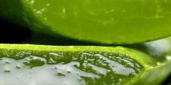 Imagem do grupo de WhatsApp REFLUXO