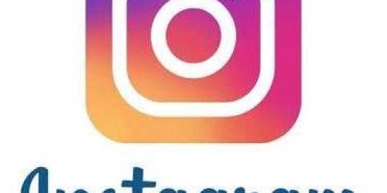 Imagem do grupo de WhatsApp SEGUIDORES NO INSTAGRAM ✅