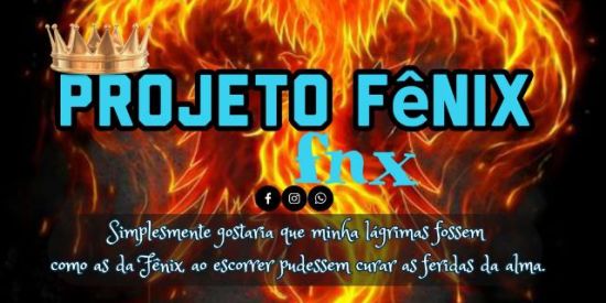 Imagem do grupo de WhatsApp 01 PROJETO FENIX