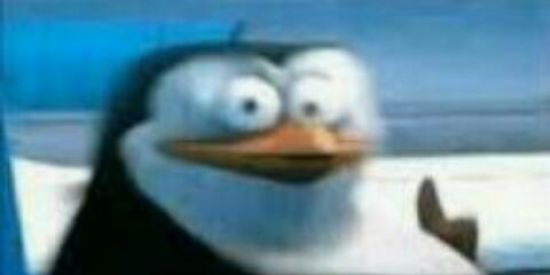 Imagem do grupo de WhatsApp OS ALOPRADIN😊✨