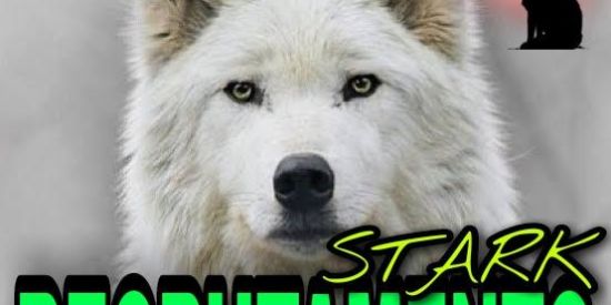 Imagem do grupo de WhatsApp 🔹Rєcruŧαмєηŧø 🔹Ti'ร🔹