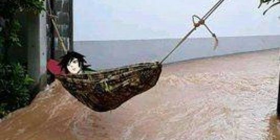 Imagem do grupo de WhatsApp 🎋Taverna dos baianos🎋