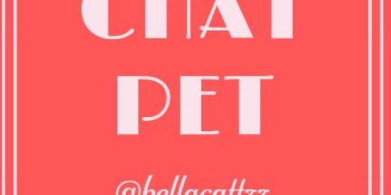 Imagem do grupo de WhatsApp engajamento pets